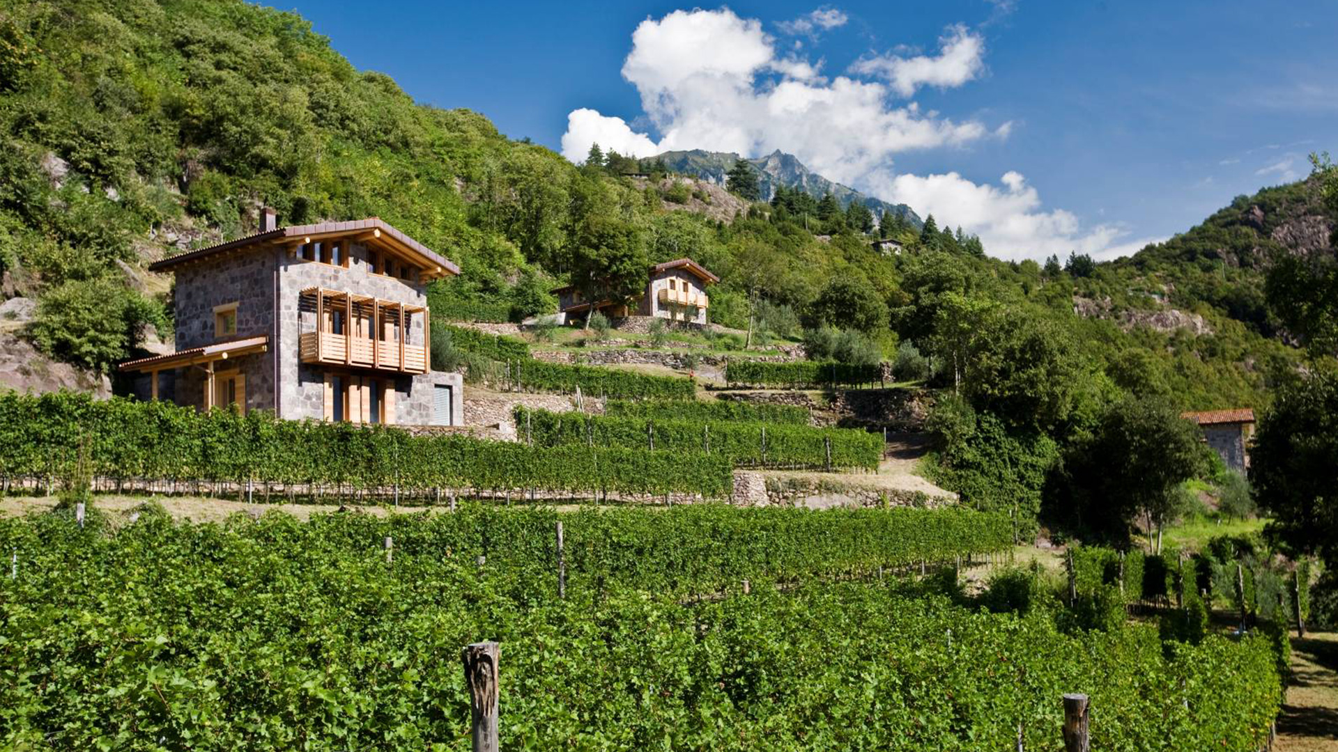Azienda Agricola Scraleca