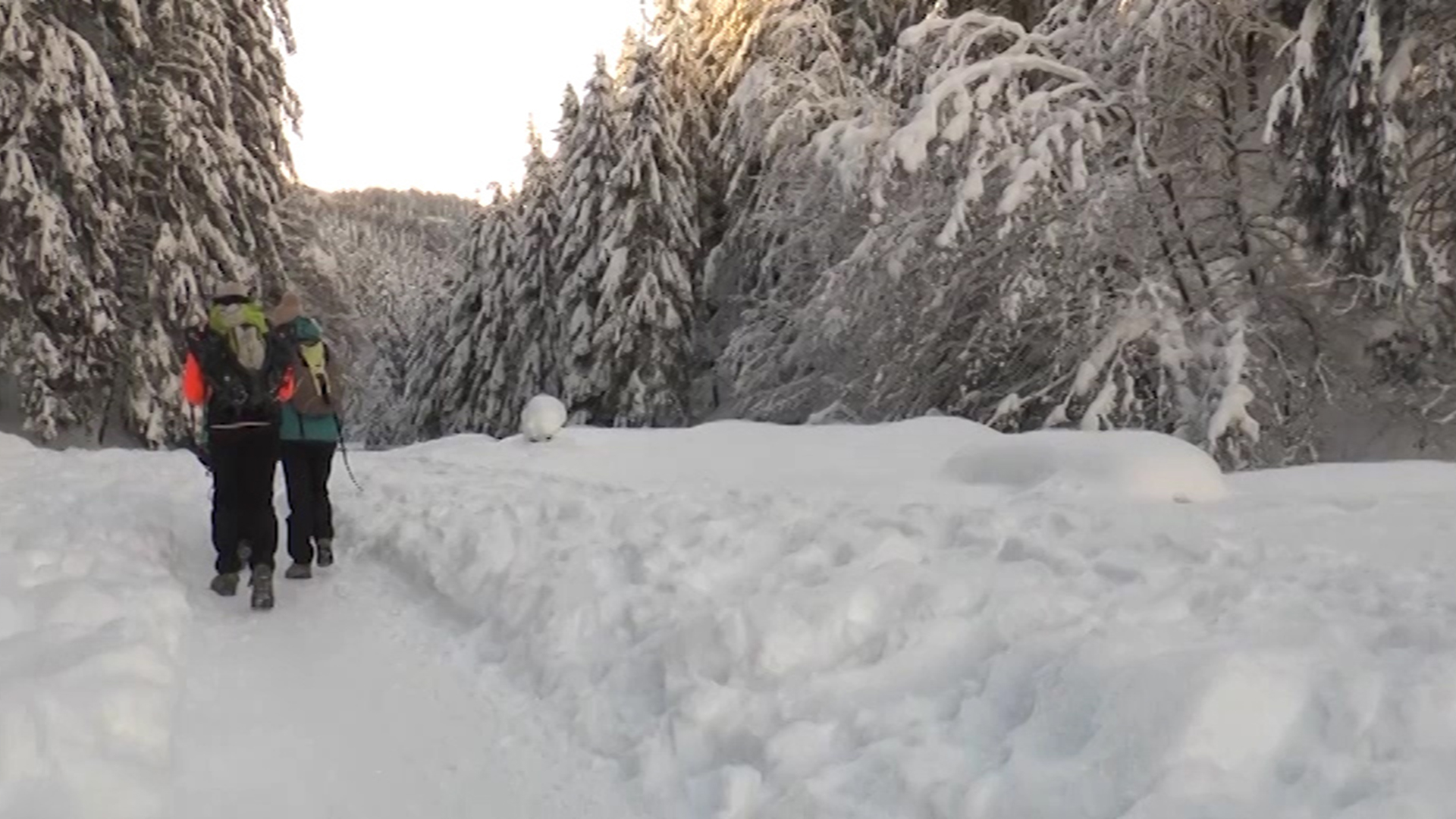 La montagna innevata e nuove regole