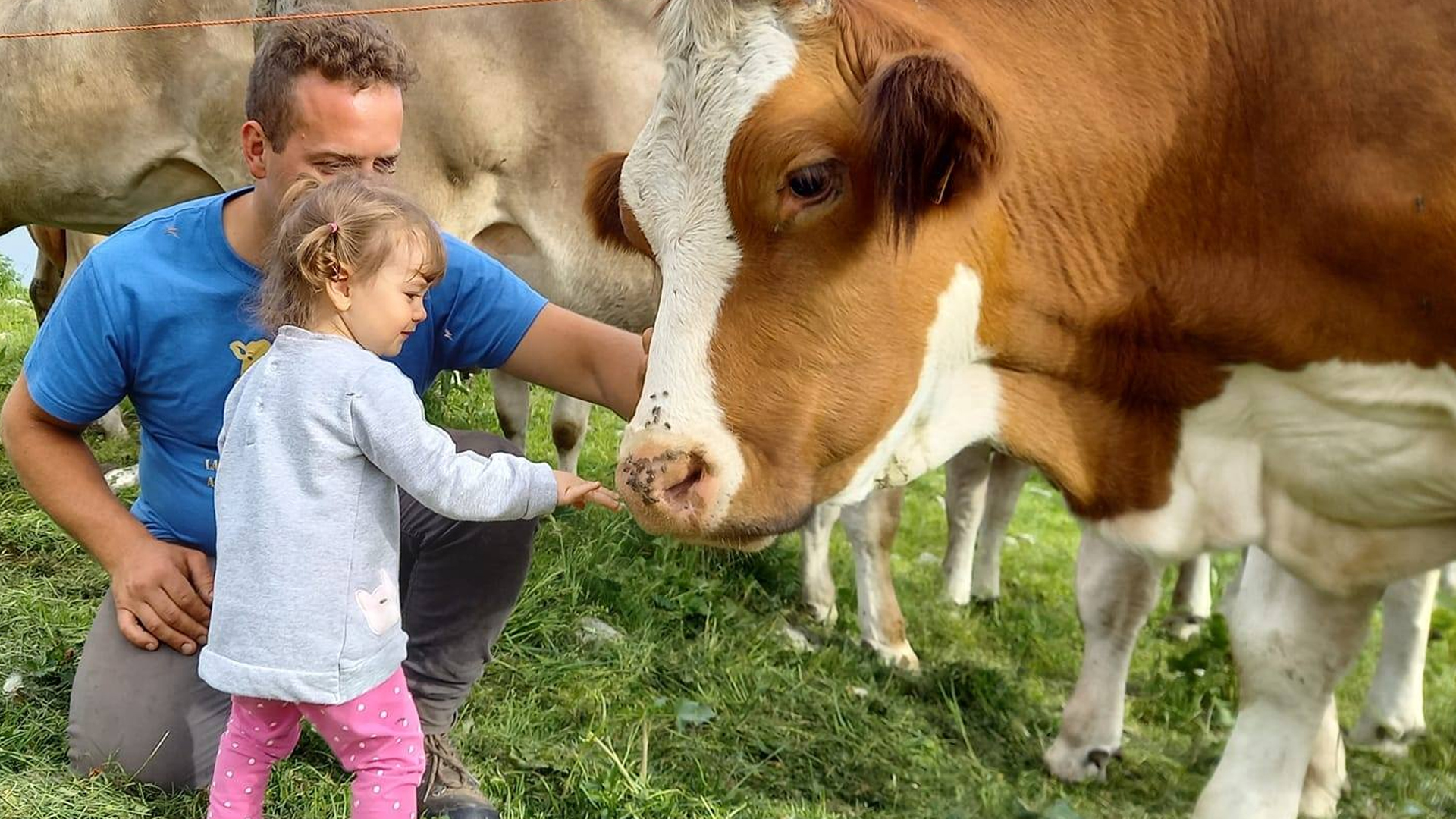 Azienda Agricola Il Quadrifoglio