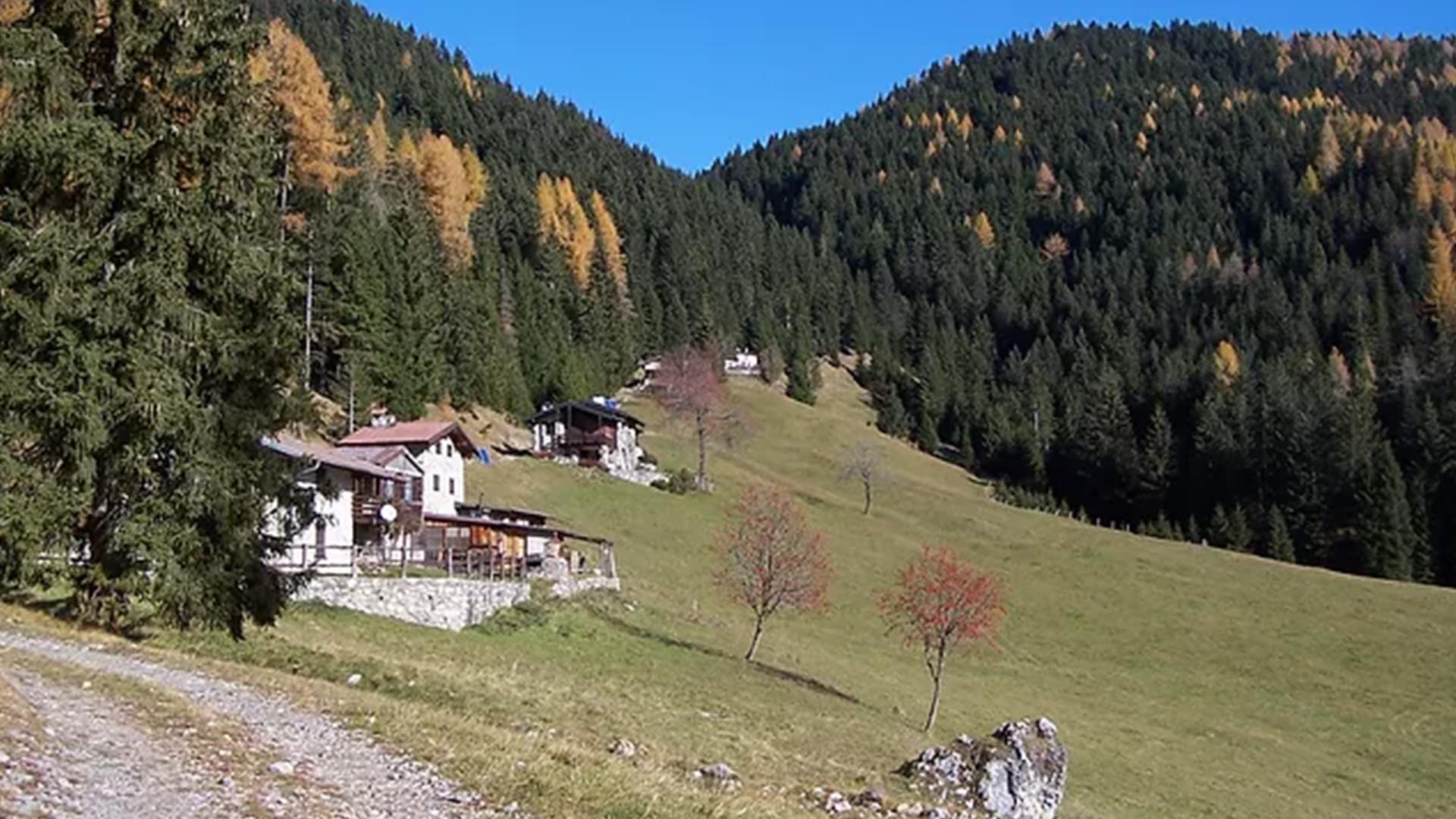Sentieri sicuri per eventi indimenticabili
