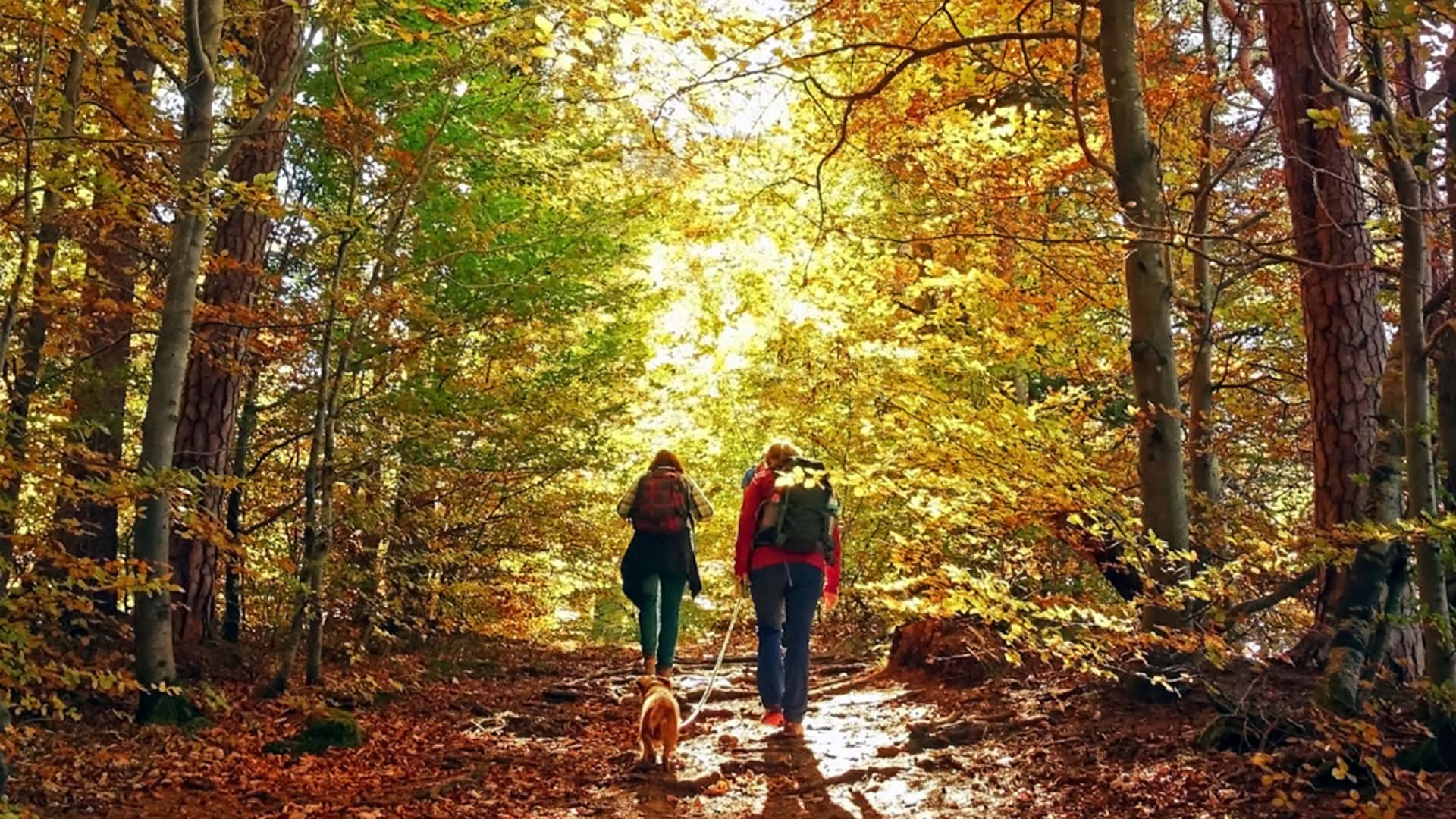 Sezioni CAI al lavoro per l’autunno