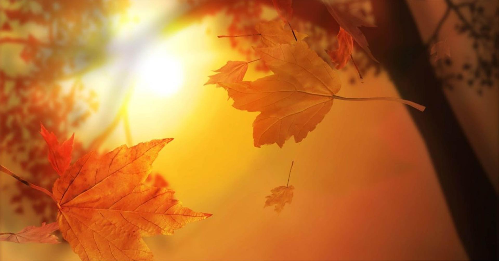 20220923_65_sapori autunno_bd.jpg
