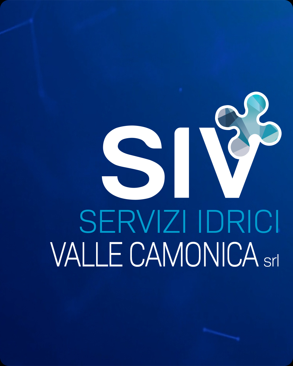 Copertina Assemblea SIV