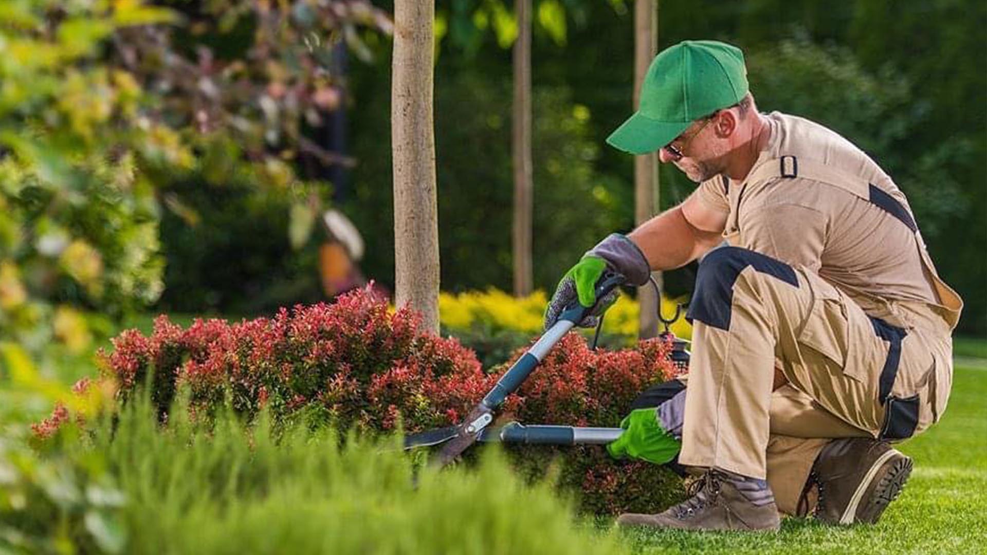 Endine, cresce un’Idea verde