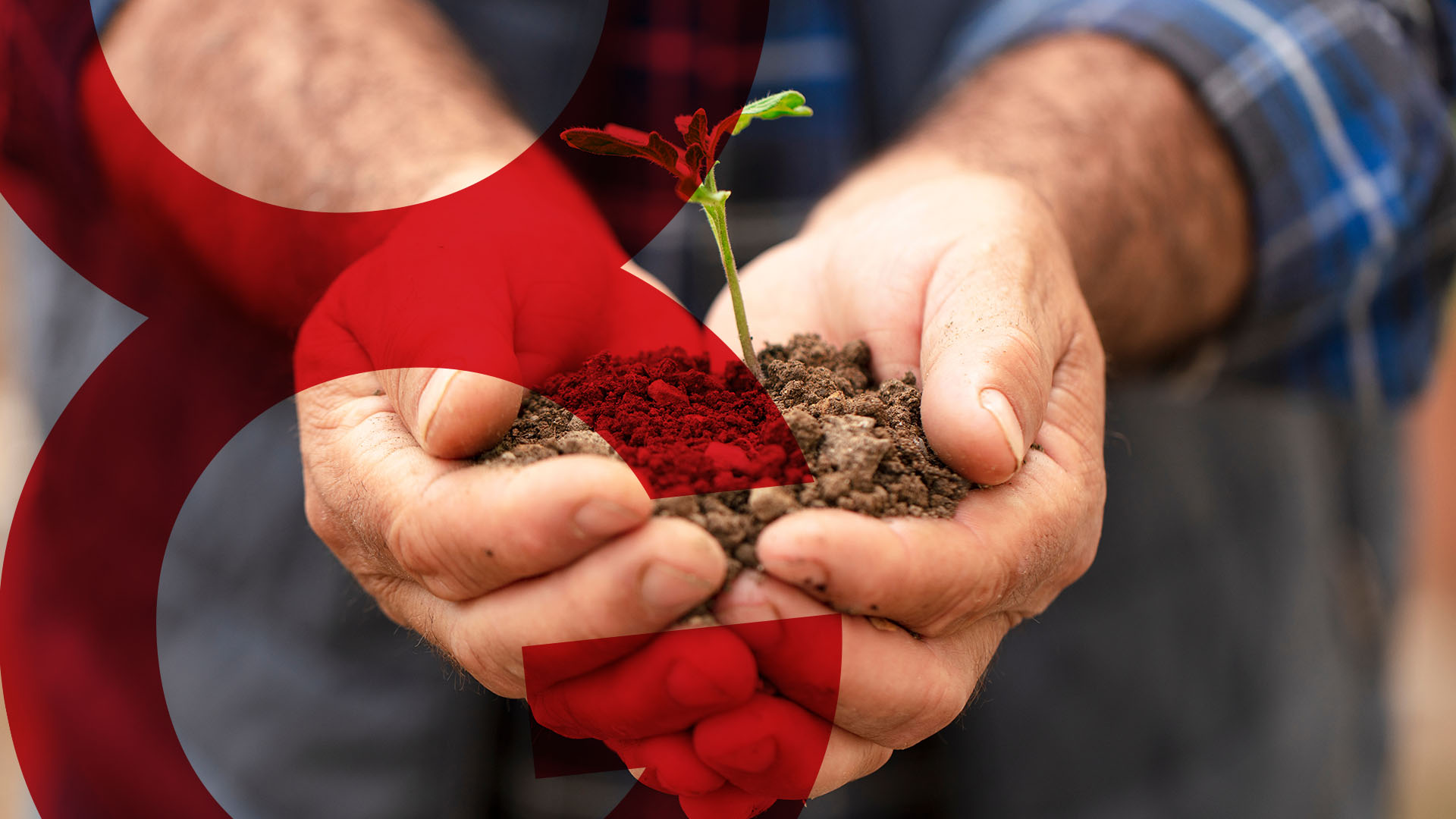 Braccia che tornano all’agricoltura