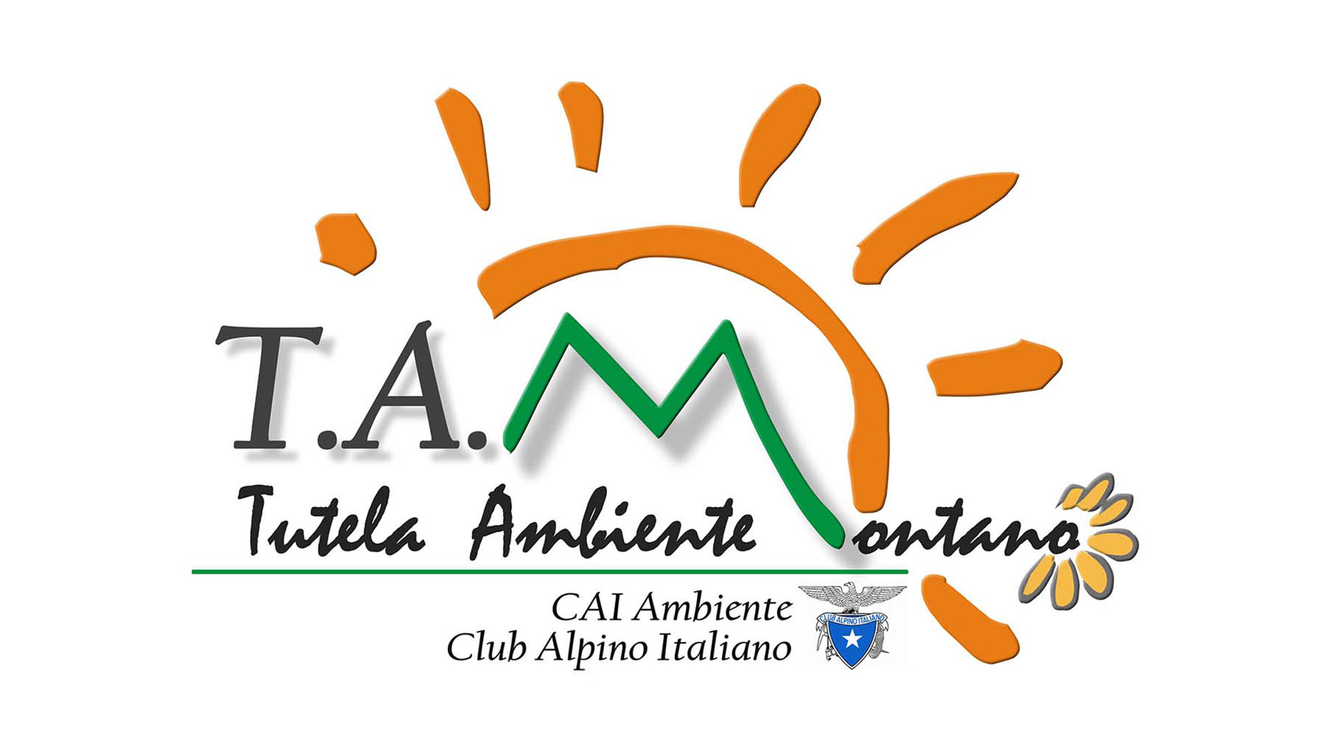 Tam: una commissione per il territorio
