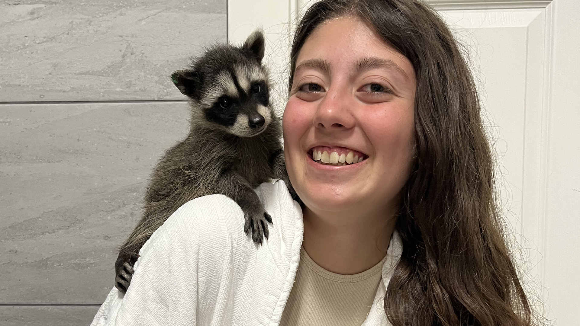 In Canada per curare gli animali selvatici