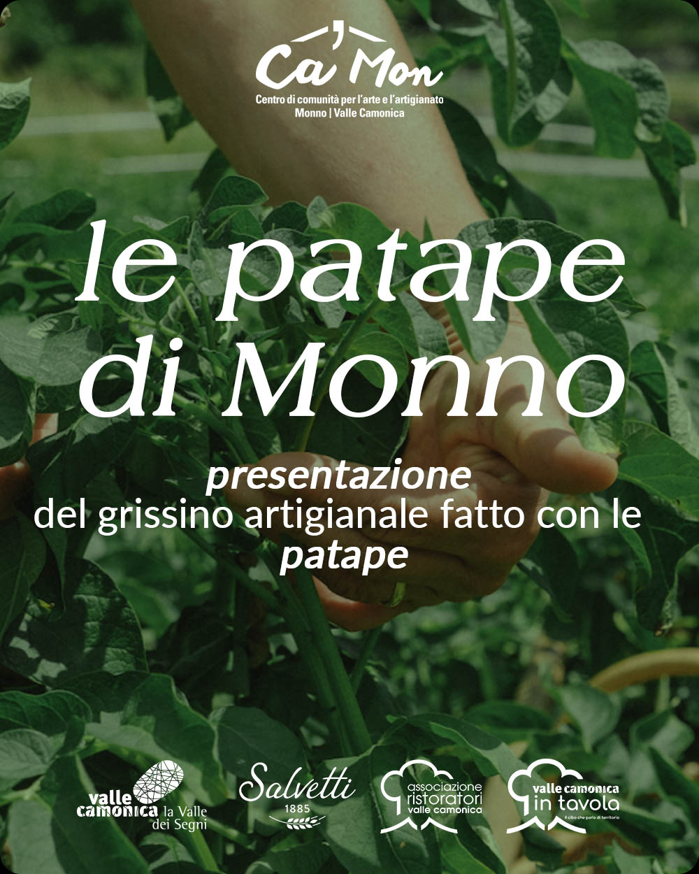 Copertina Il grissino di patape di Monno