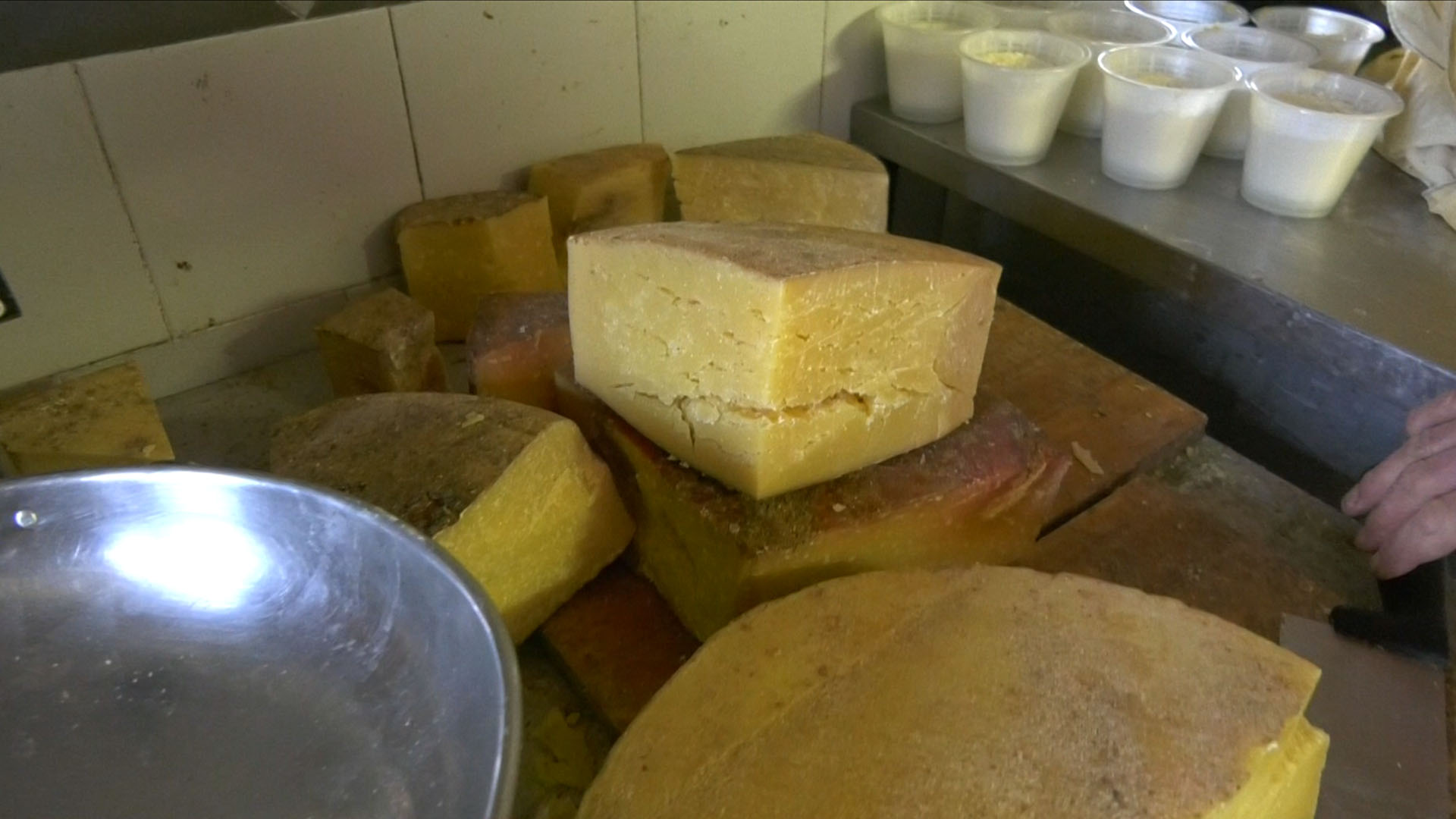 Case di Viso, un formaggio di bellezza