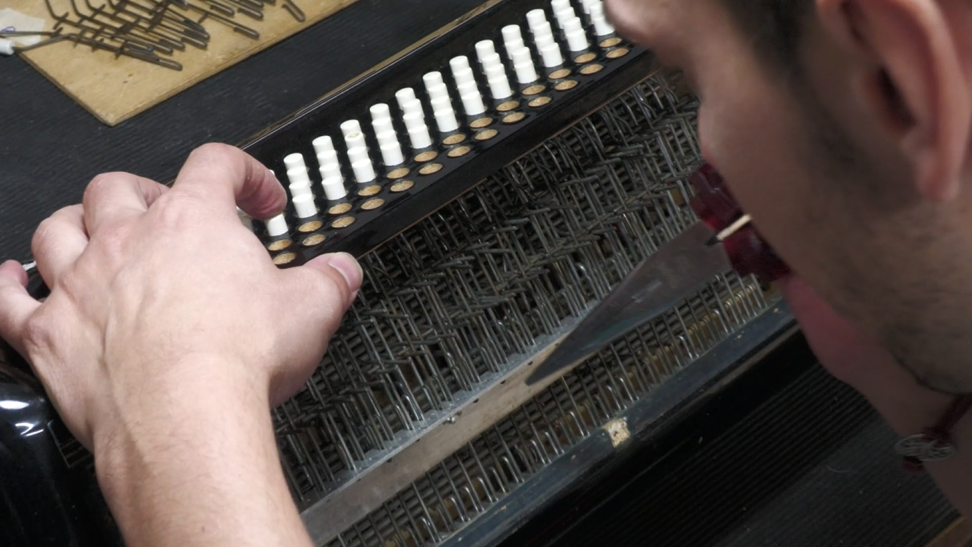 Mattia, la fisarmonica come lavoro