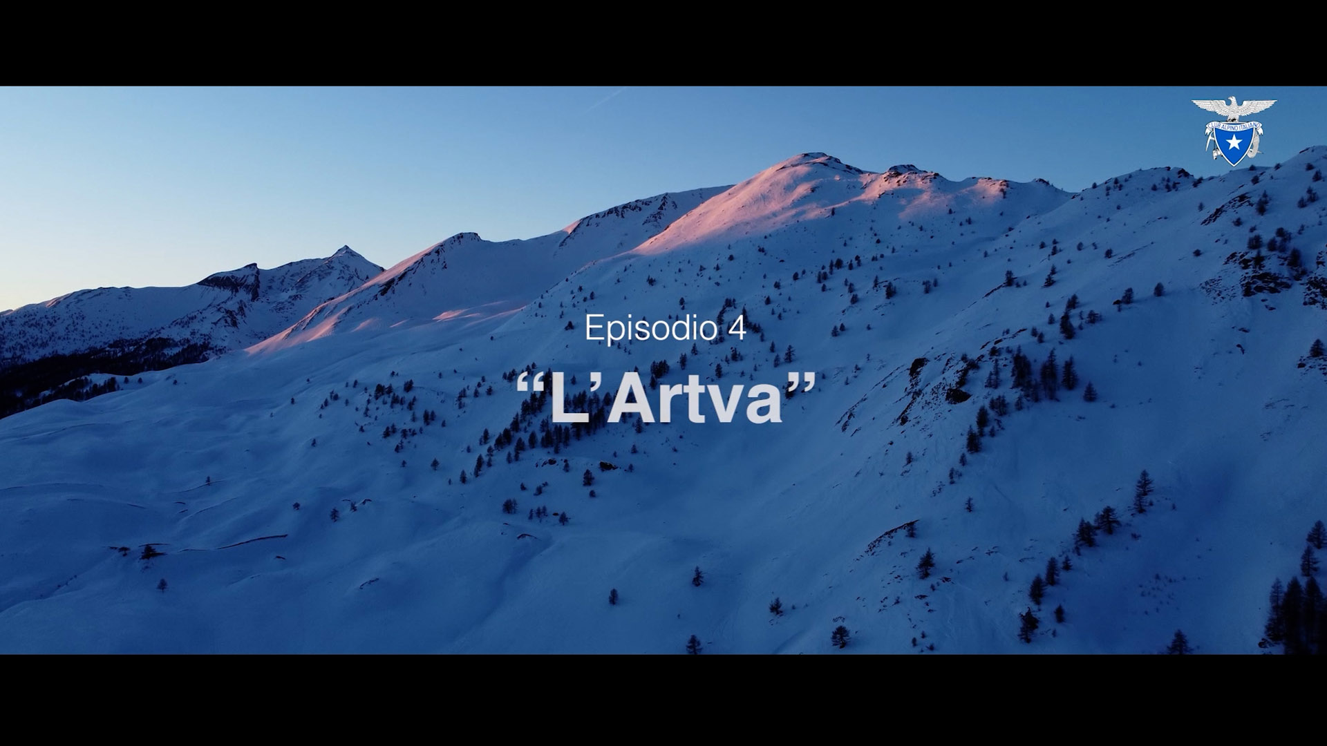 Artva, come usarla correttamente