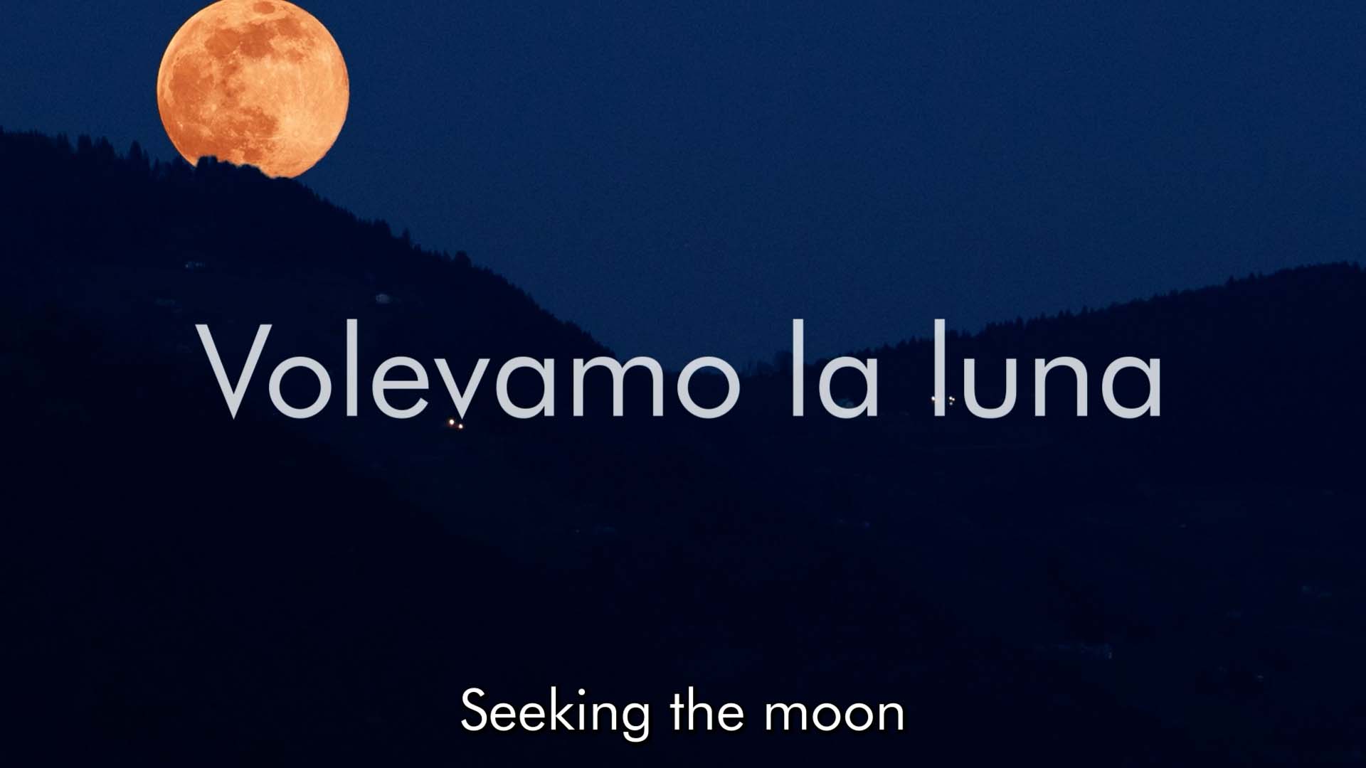 Volevamo la luna