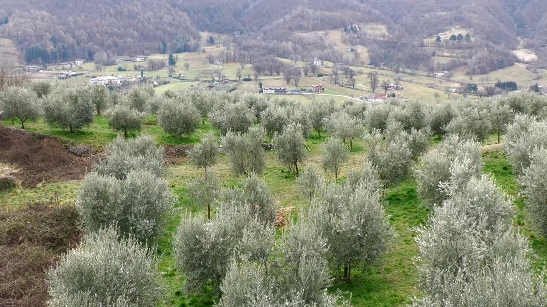 Agricoltura, l’economia della valle può crescere ancora