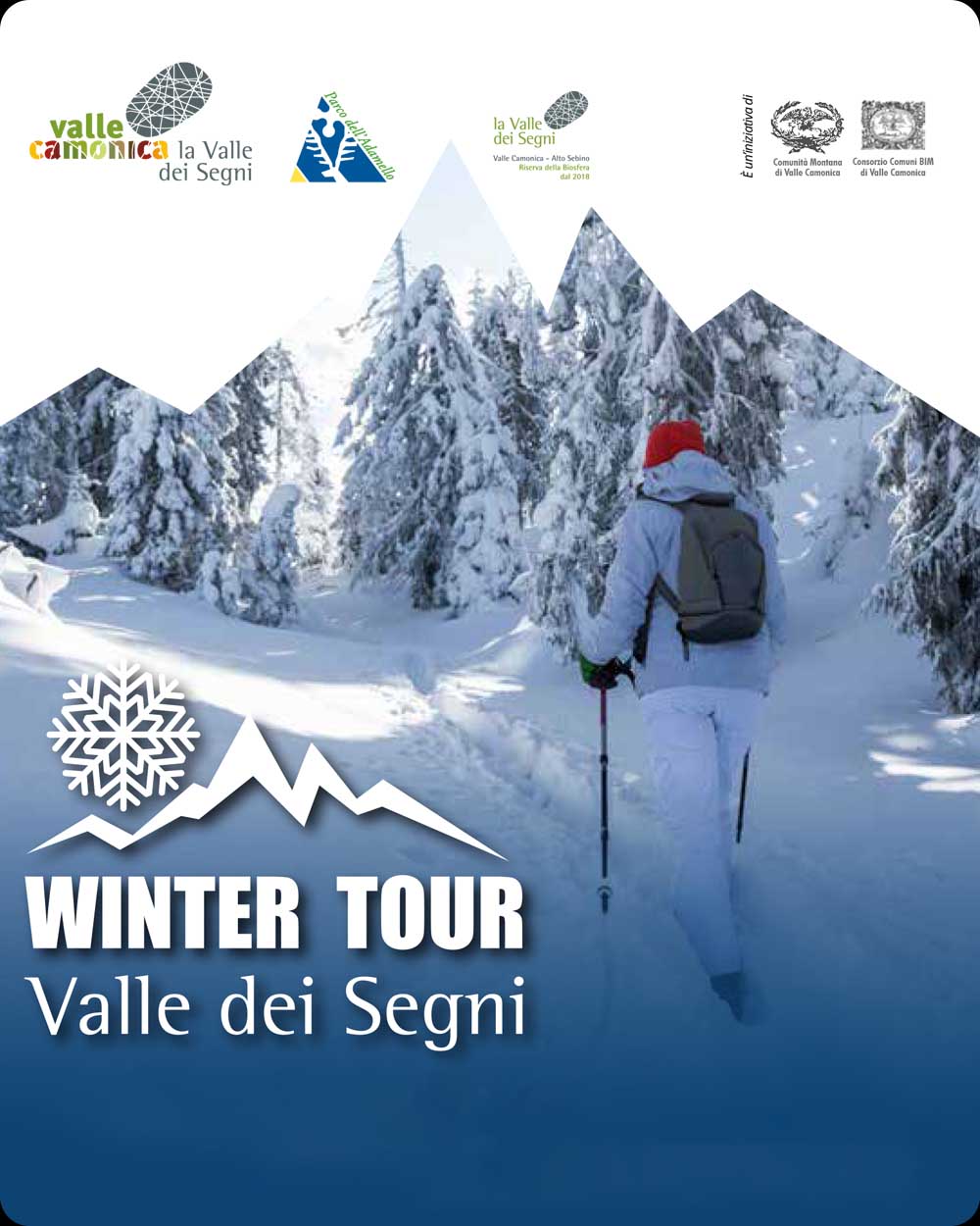 Copertina Winter Tour