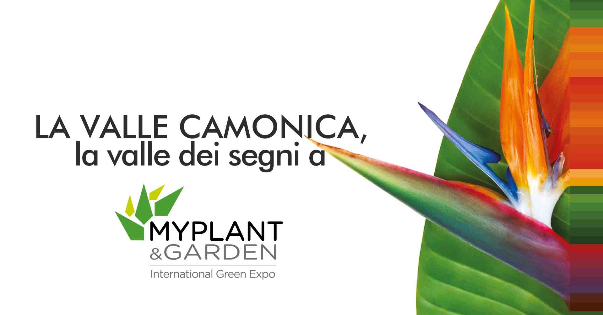 20240223_114_la valle my plant garden_bdg.jpg