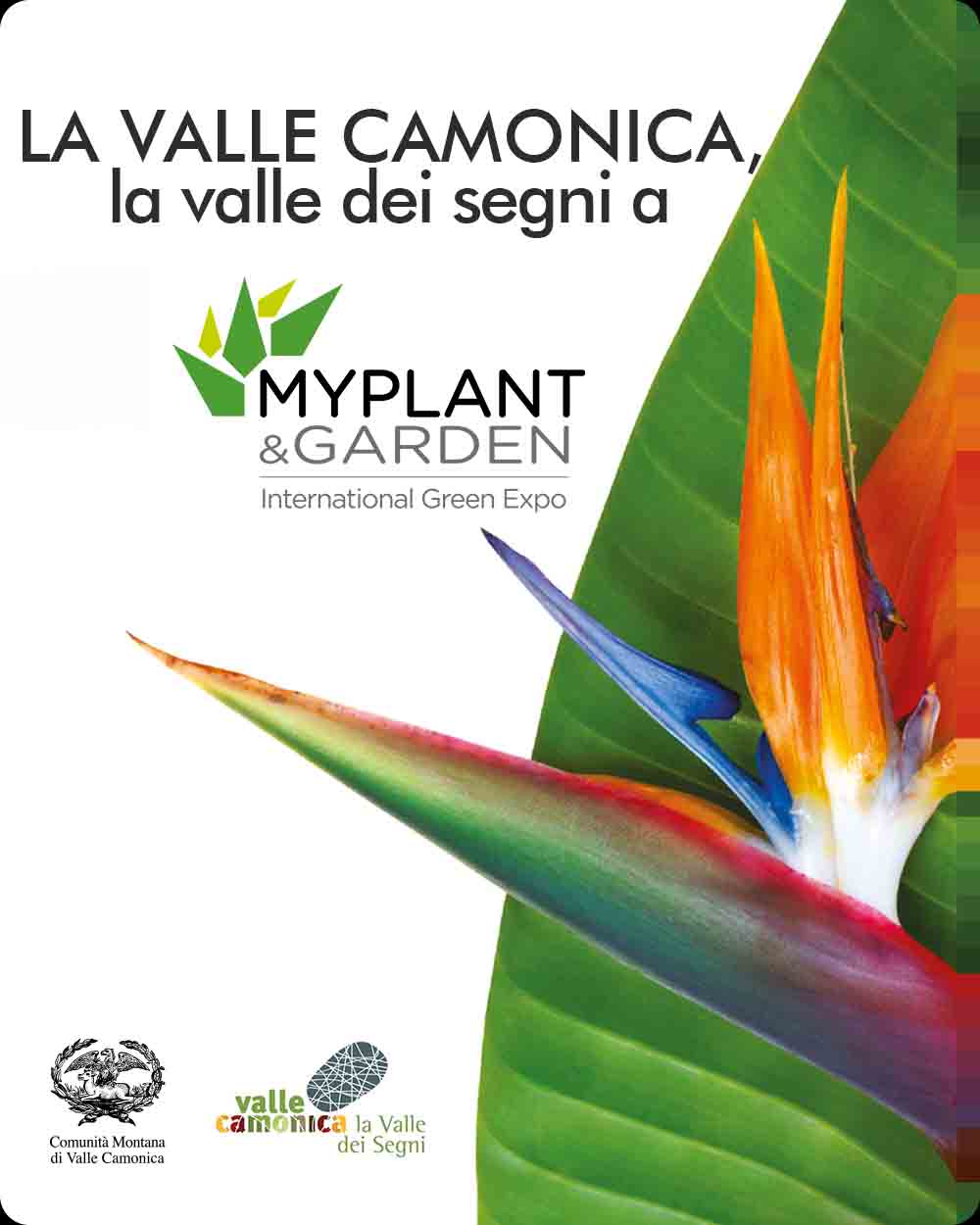 Copertina La Valle Camonica, la valle dei segni presente a My Plant & Garden