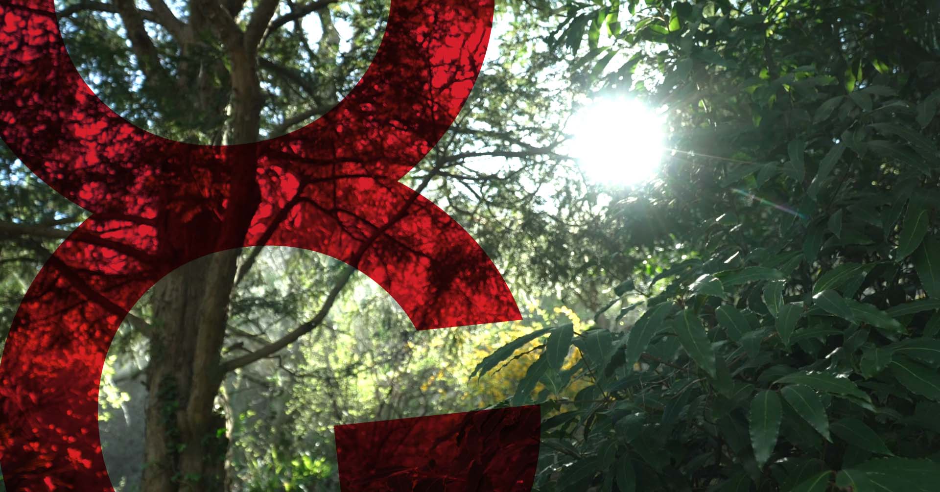 Alla scoperta dei ”tesori botanici”
