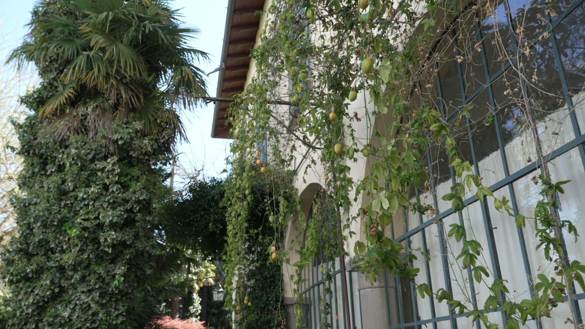 Villa Elena Fenaroli, un patrimonio botanico sulla riva del lago