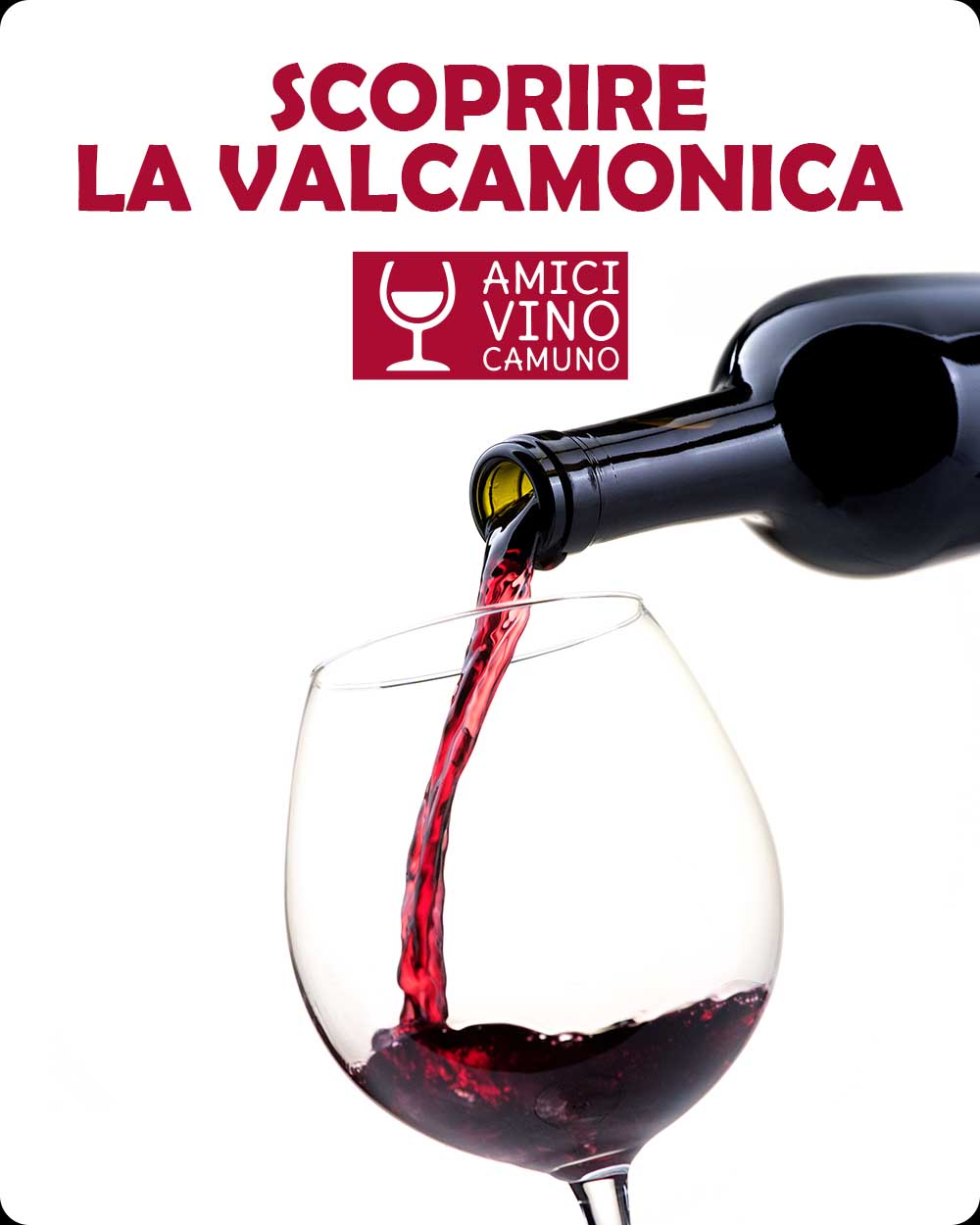 Copertina Scoprire la Valcamonica