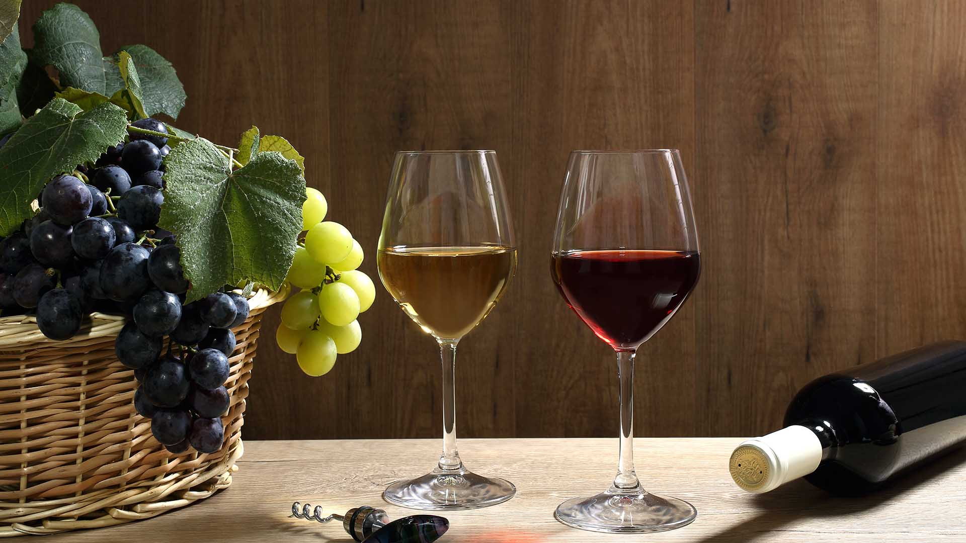Scoprire la Valcamonica attraverso i suoi vini
