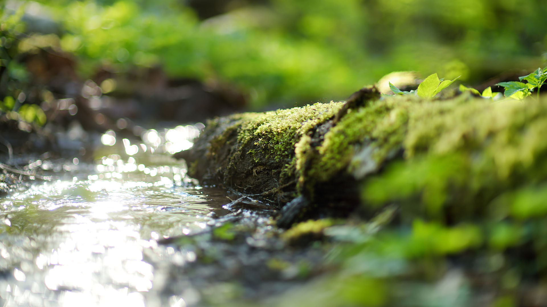 Acqua Sorgente, un progetto di ricerca scientifica del Cai