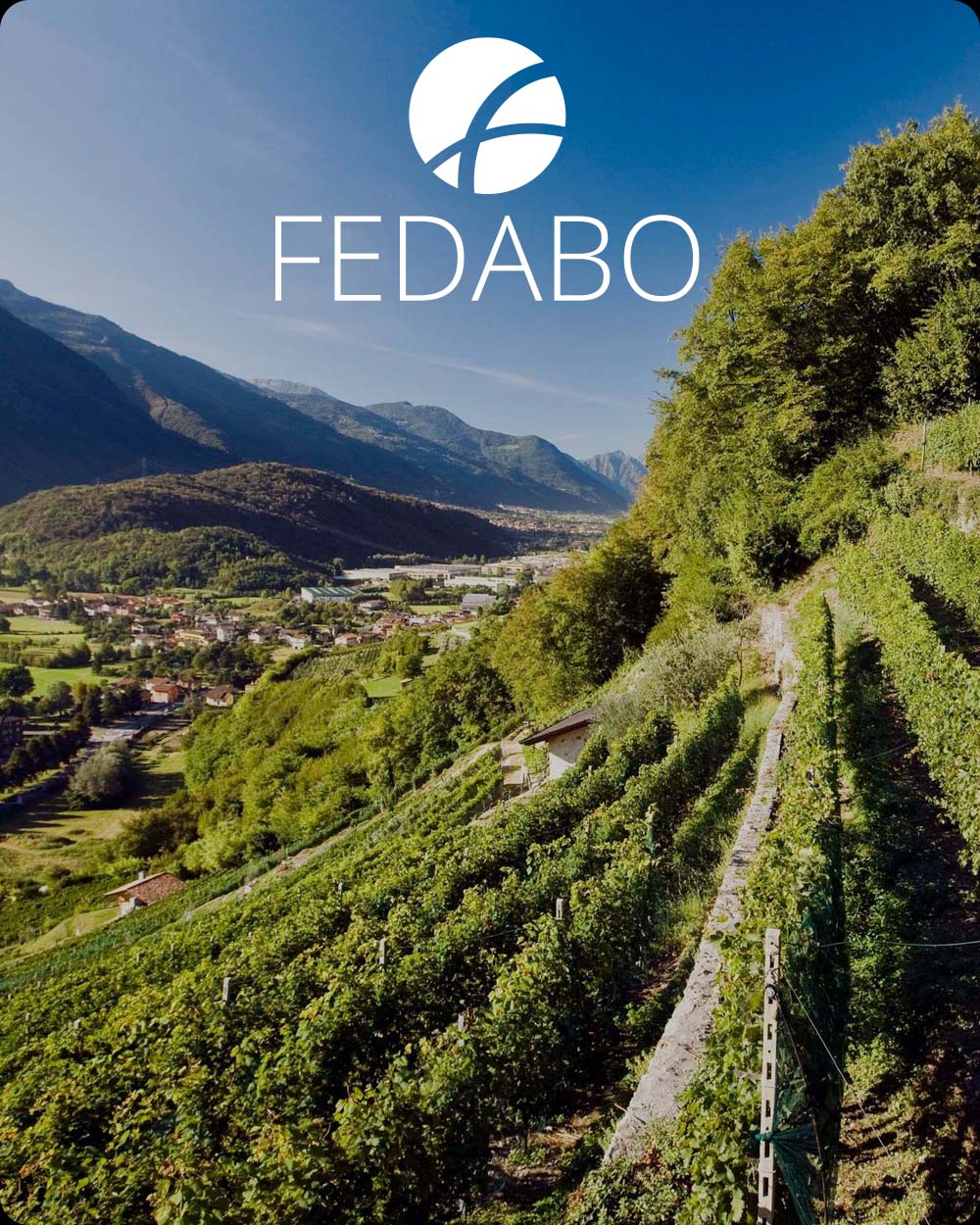 Copertina Ecosistema Febado
