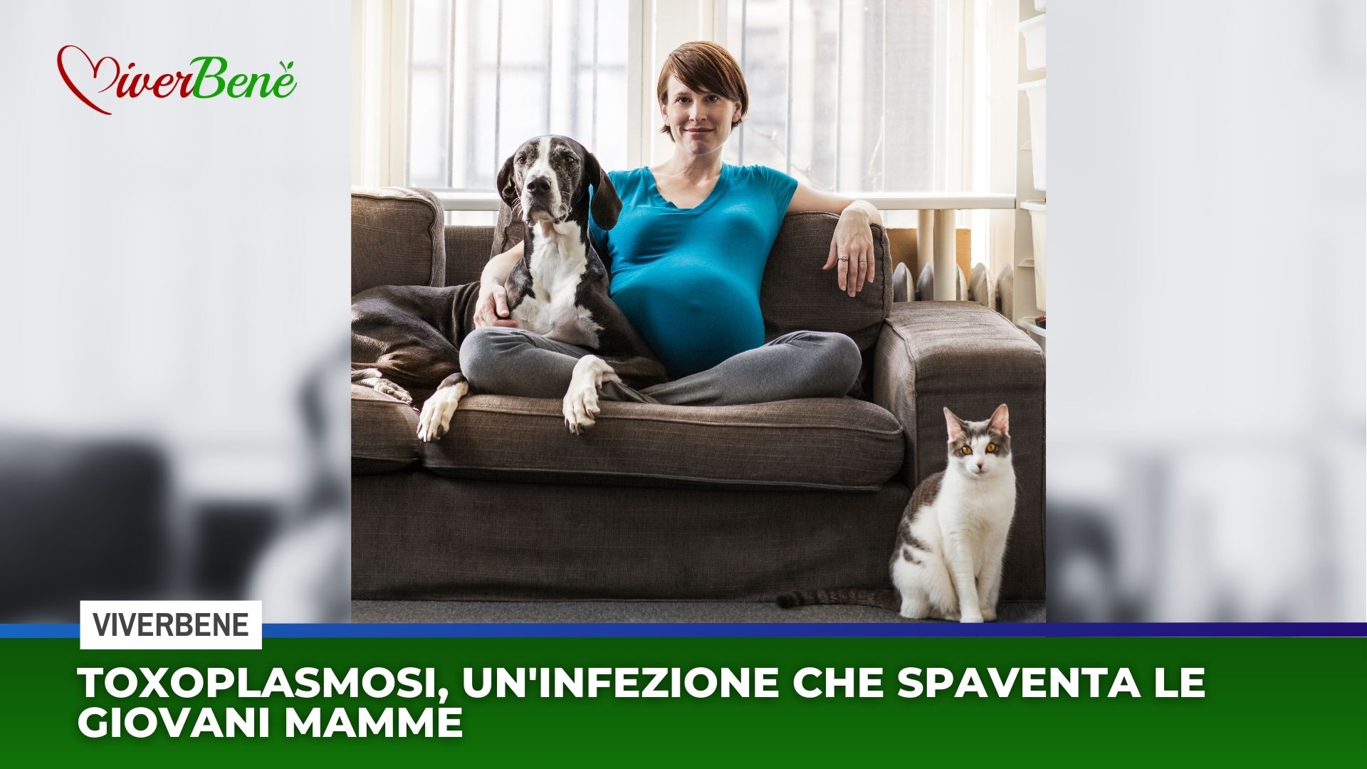 Toxoplasmosi, un’infezione che spaventa le giovani mamme