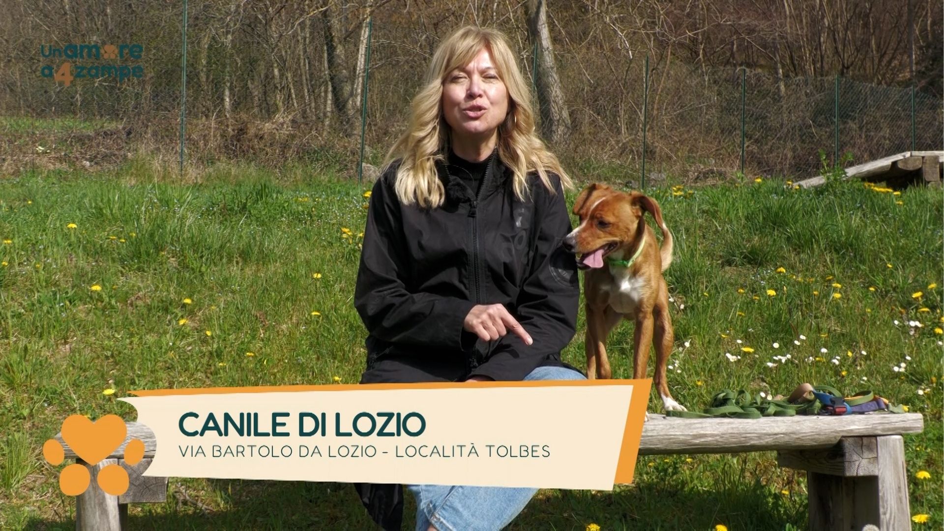 Il canile di Lozio, punto di riferimento per la Vallecamonica