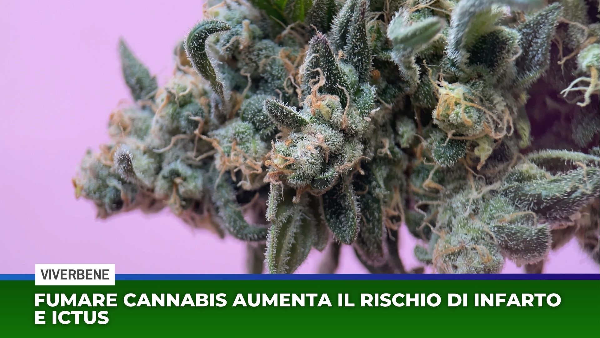 Fumare cannabis aumenta il rischio di infarto e ictus
