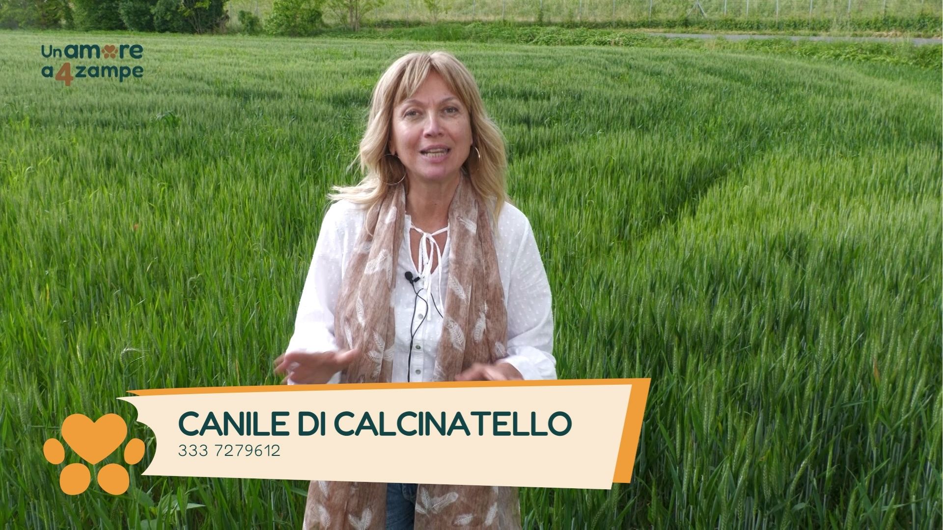 Il canile di Calcinatello