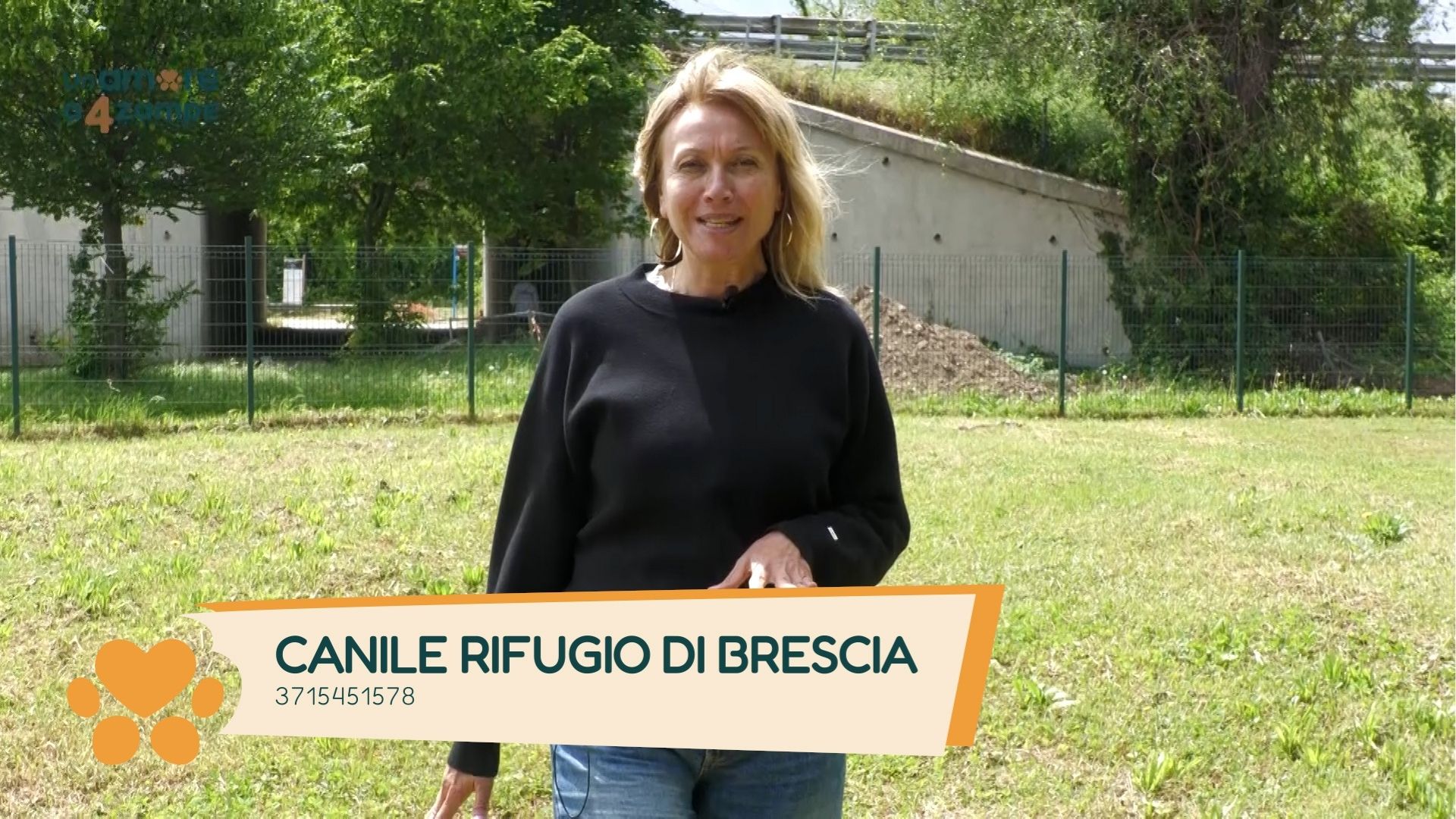 I canili di Brescia, quando l’unione fa la forza.