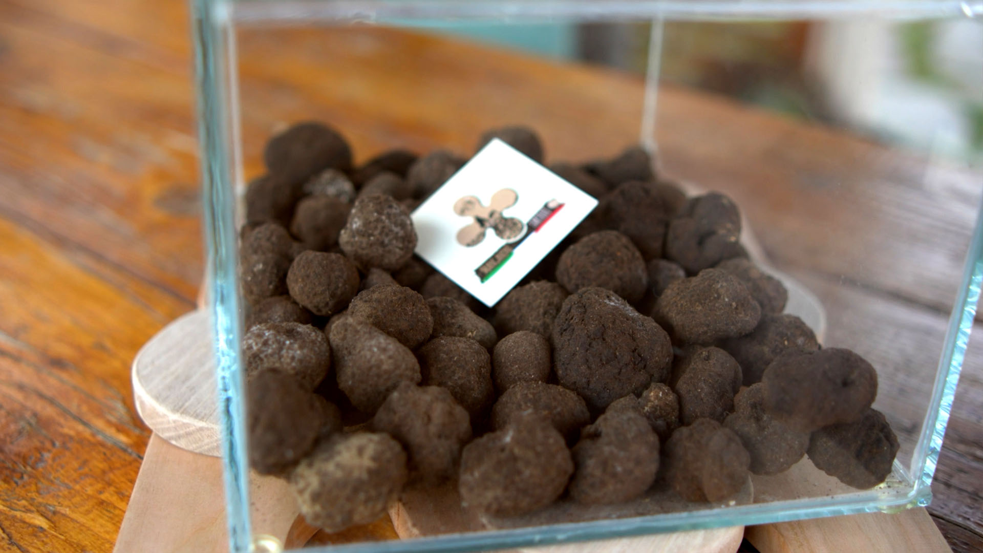 Manganoni Tartufi