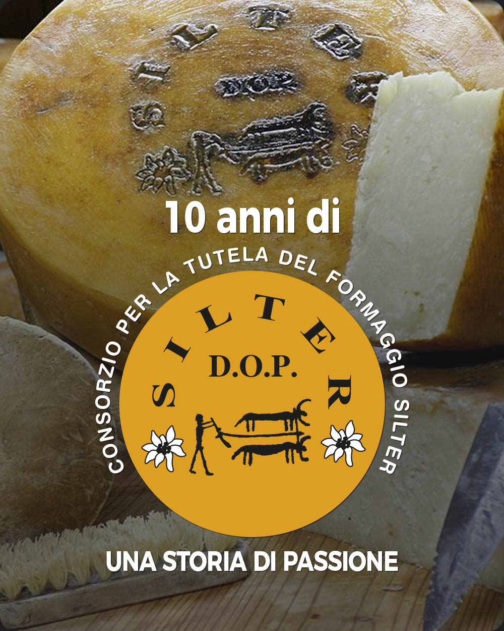 Copertina 10 anni di Silter D.O.P.