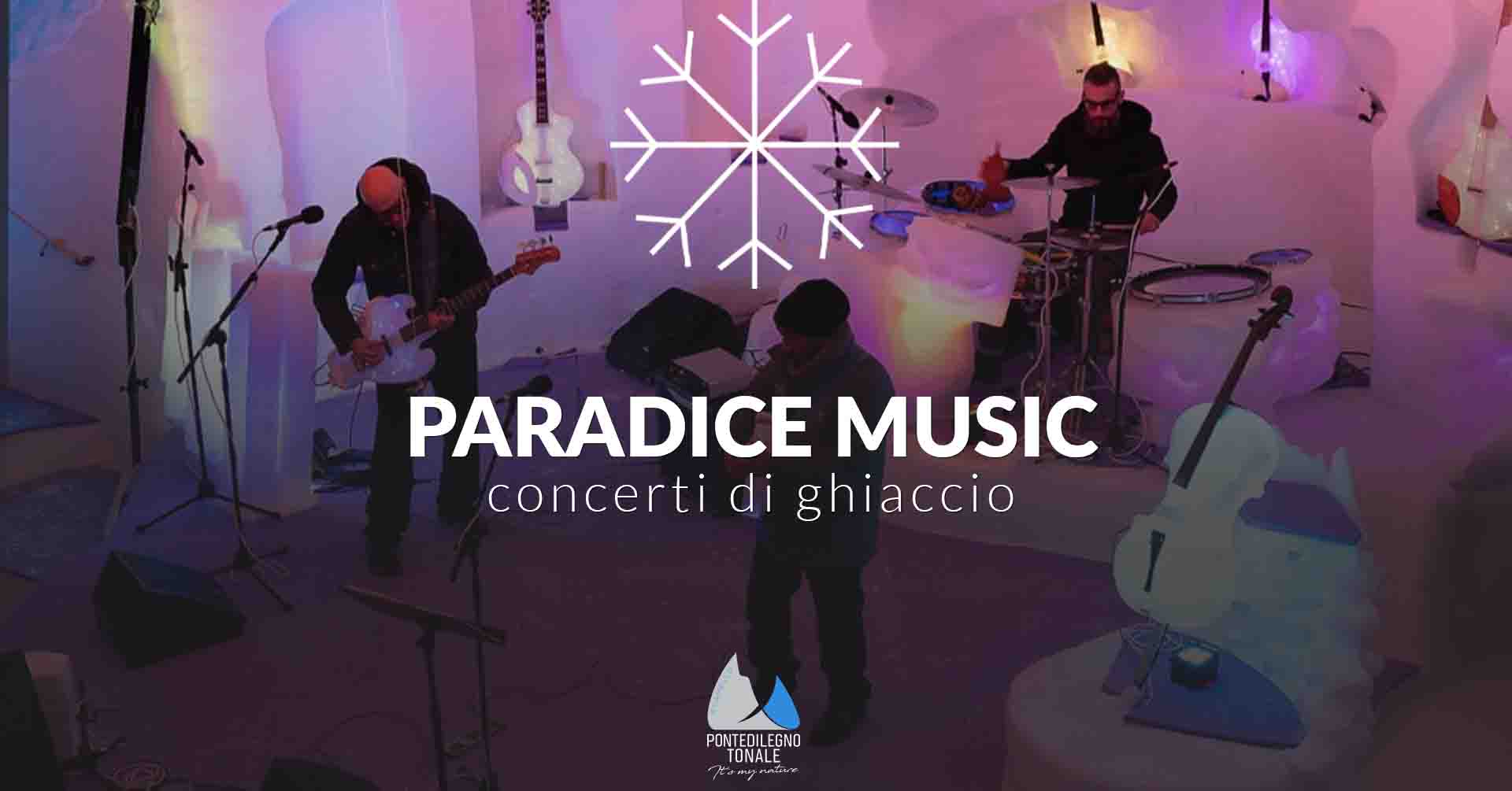 20260302_164_paradice music bd_.jpg