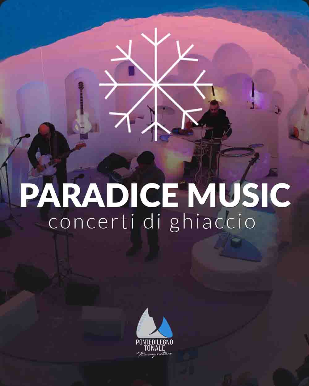 Copertina Paradice Music Festival