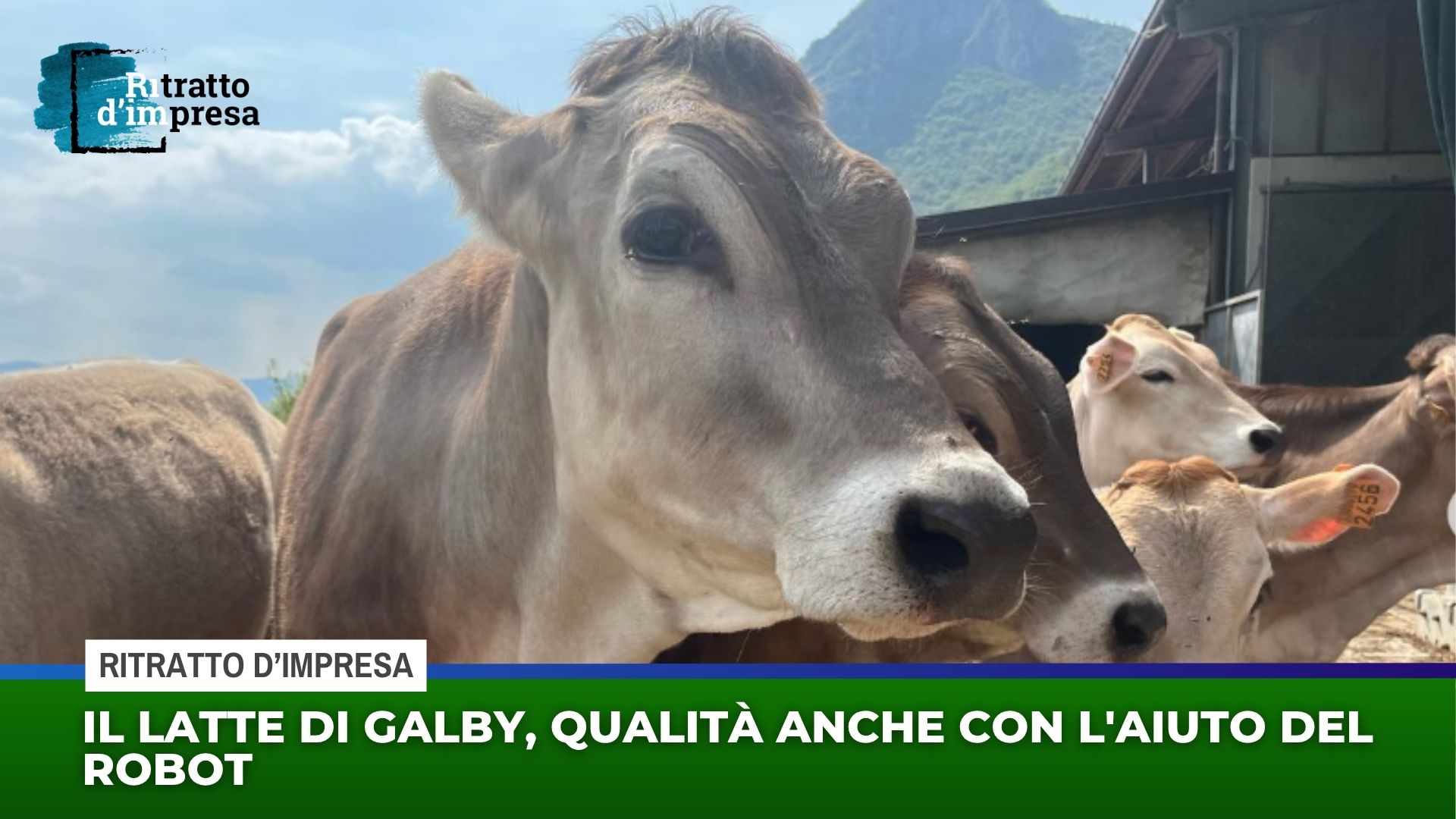 Il latte di Galby, qualità anche con l’aiuto del robot