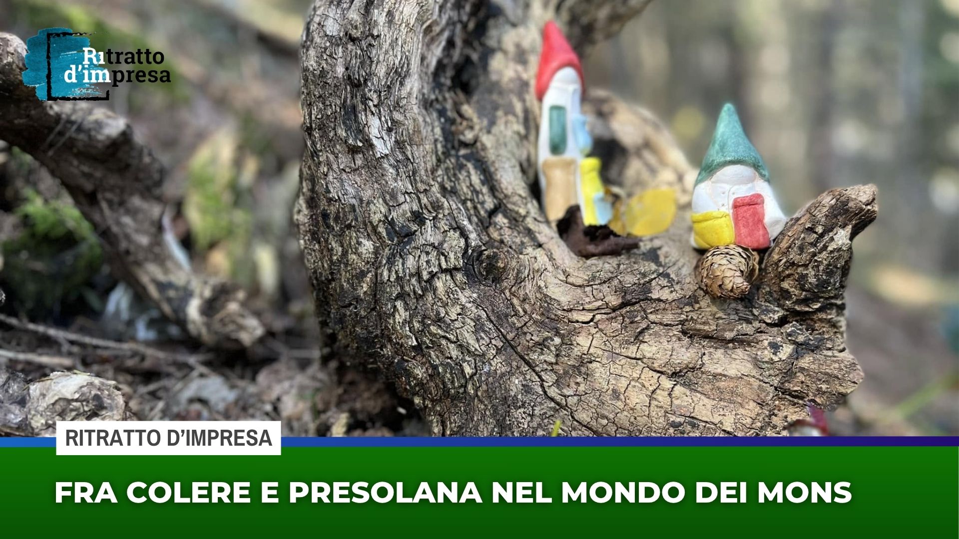 Fra Colere e Presolana nel mondo dei Mons