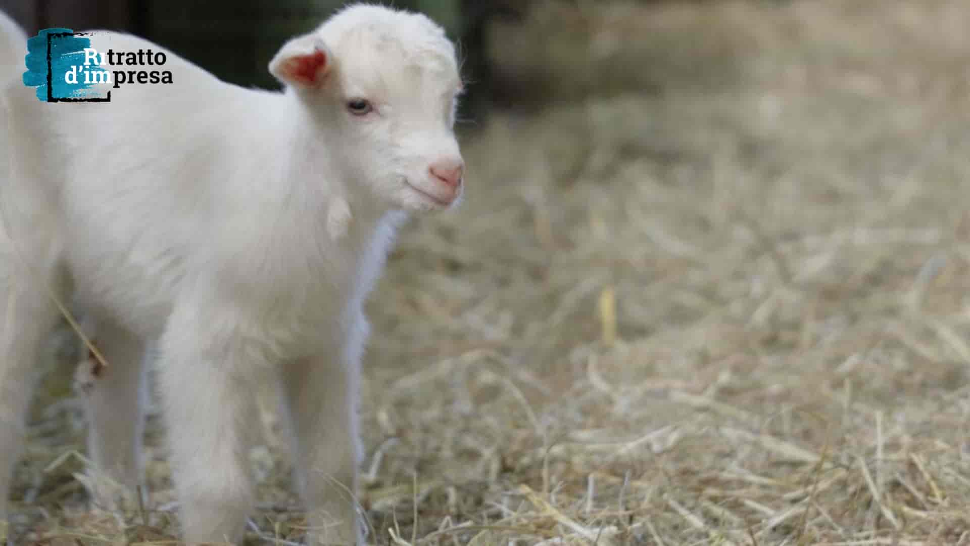 Azienda agricola San Faustino, sostenibilità o declino