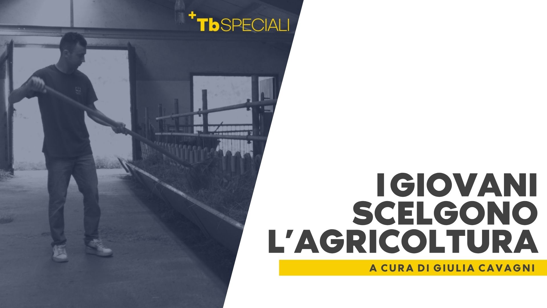 I giovani scelgono l’agricoltura