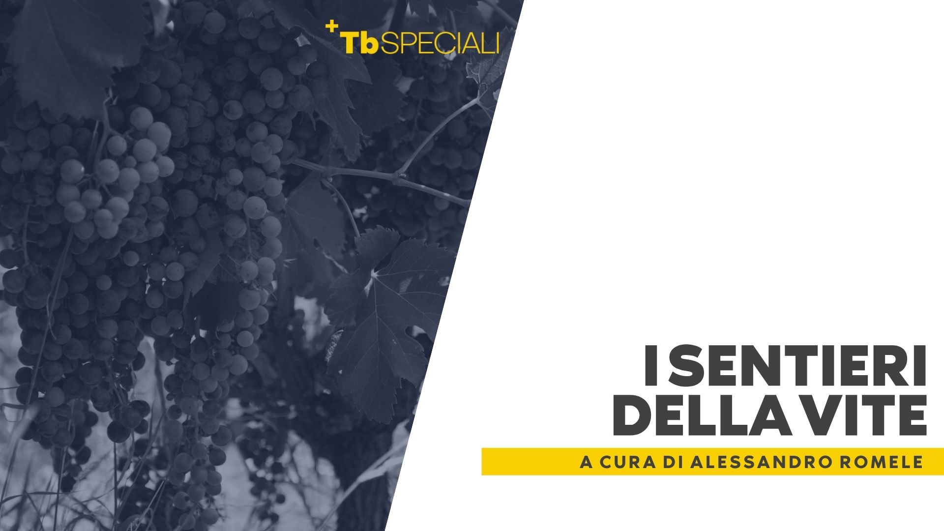 I Sentieri della Vite: i vini di Vallecamonica e Franciacorta