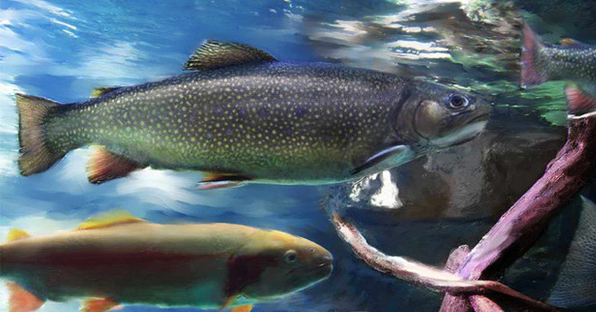 Agroittica San Fiorino