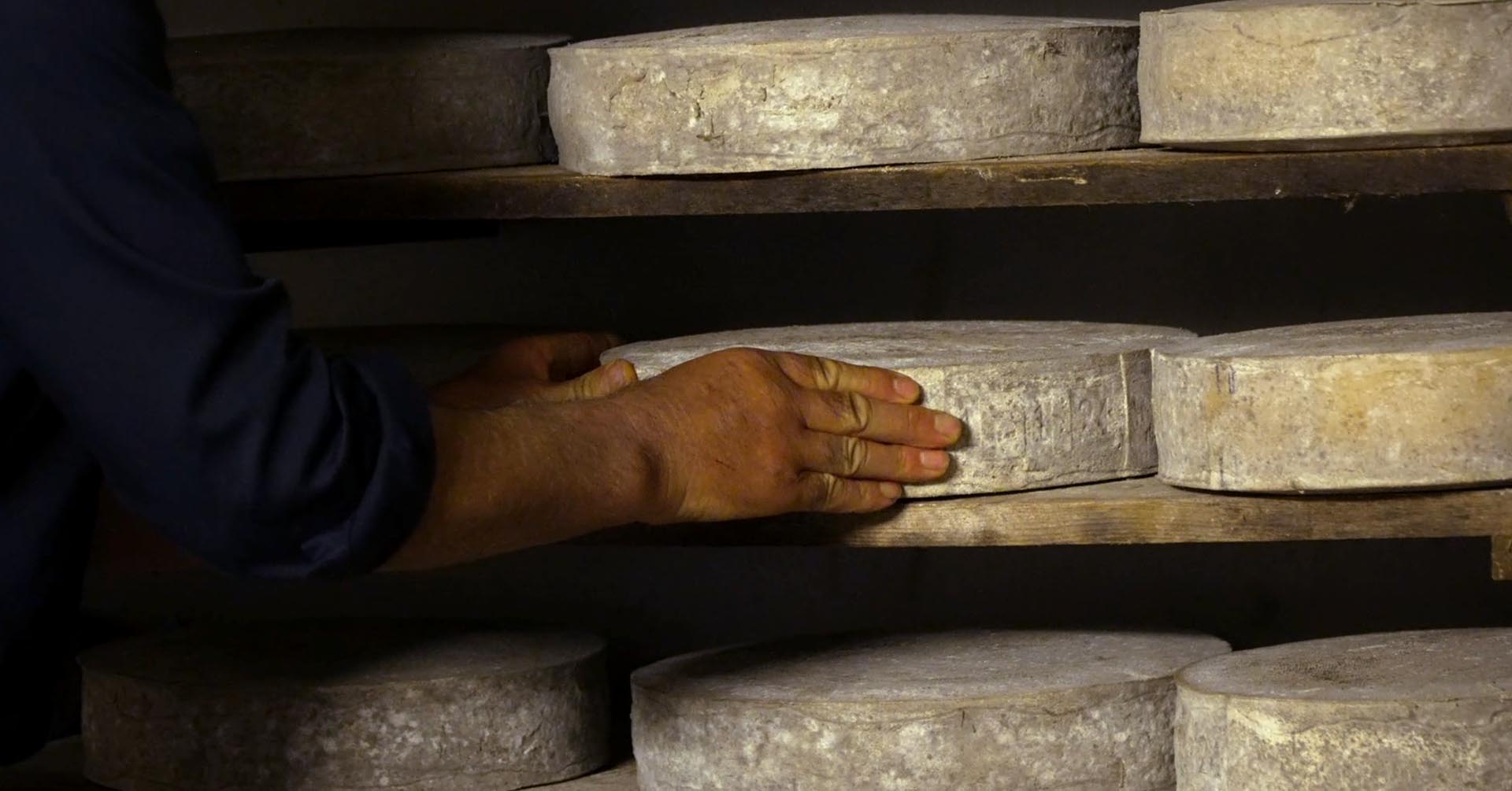 Gasparini, l'allevamento della tradizione