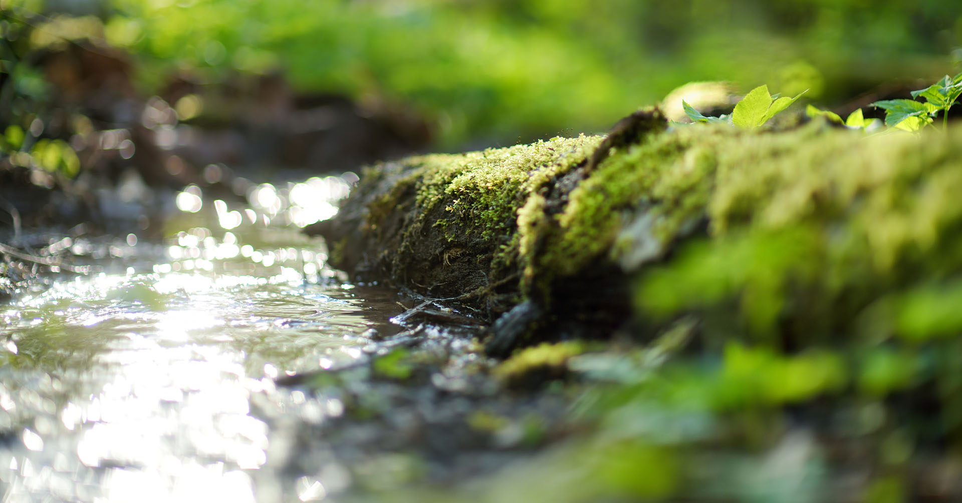 Acqua Sorgente, un progetto di ricerca scientifica del Cai