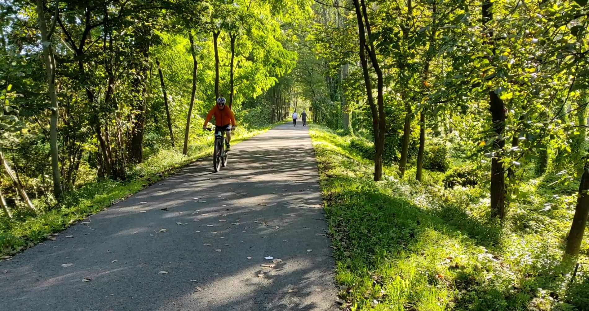 Bus navetta e biciclette, le opportunità del parco
