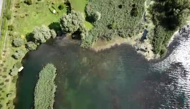 Alghe nel lago di Endine, problema in aumento