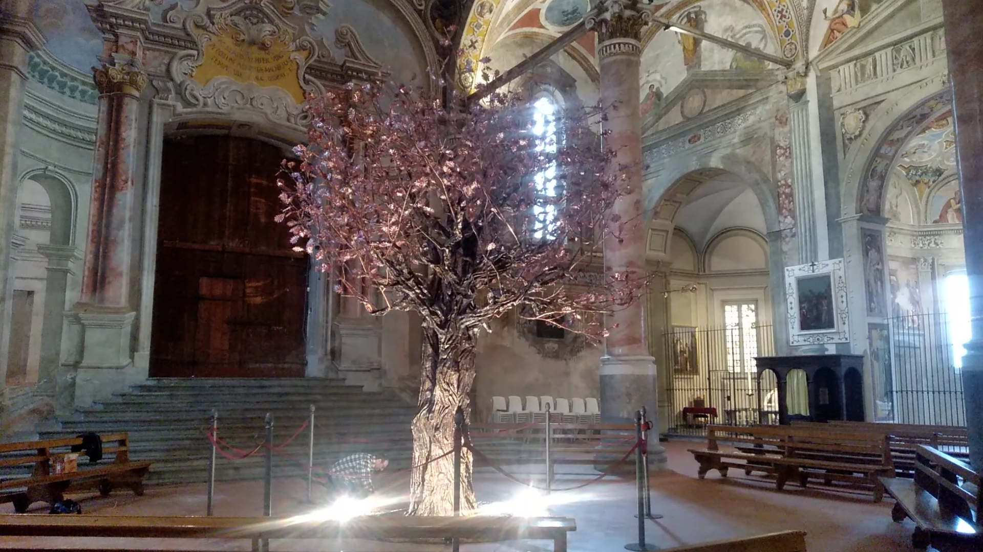 Lovere: in basilica spunta la quercia di Mamre del maestro Settimo Tamanini