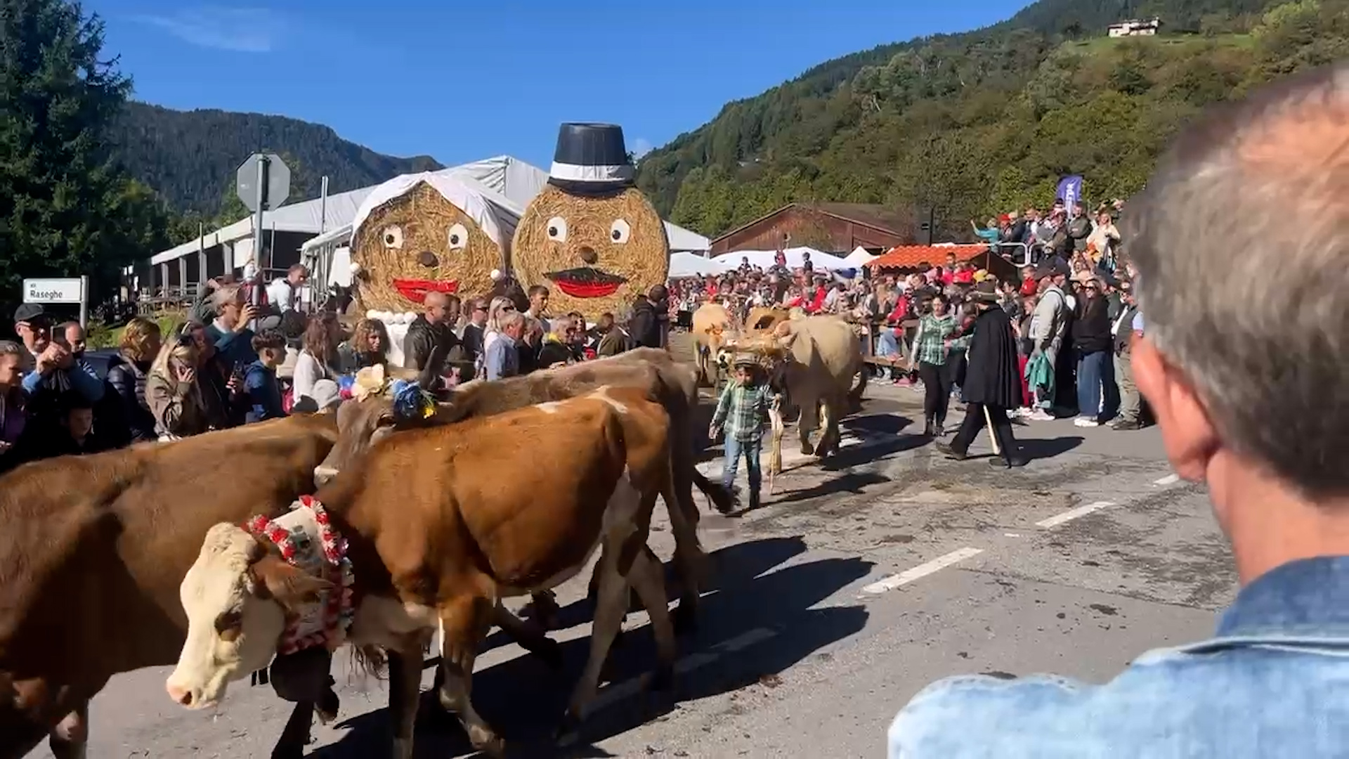 Borno celebra la transumanza