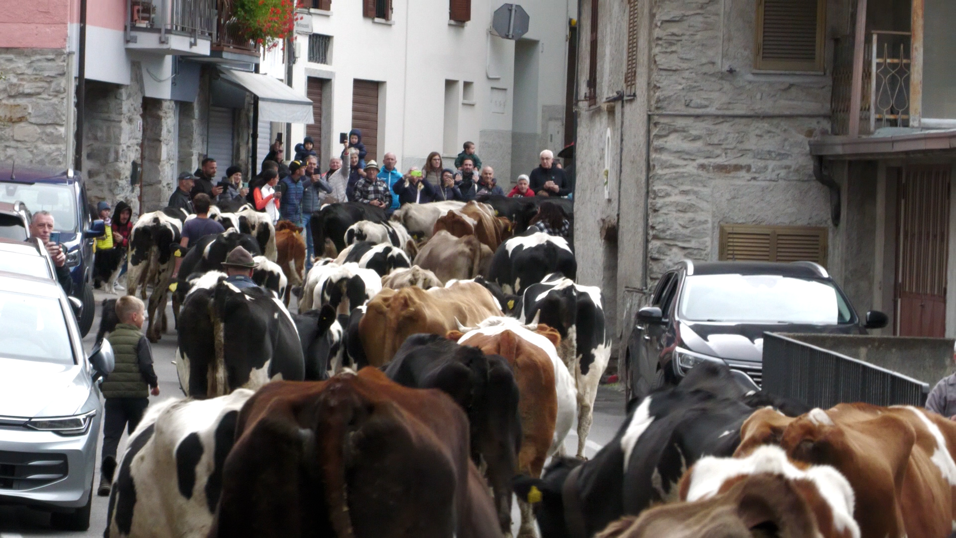 Paspardo in festa con la transumanza