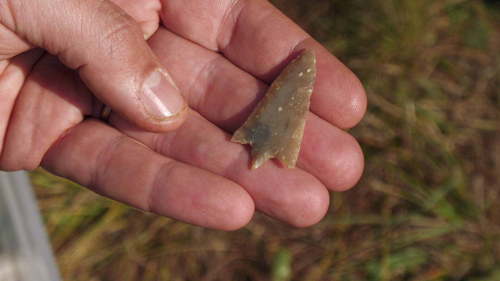 Naquane: trovate frecce e lame di 6mila anni fa