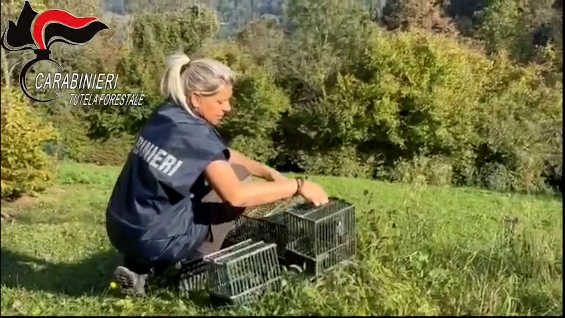Bracconaggio: 67 arresti. Usavano archetti per abbattere avifauna protetta